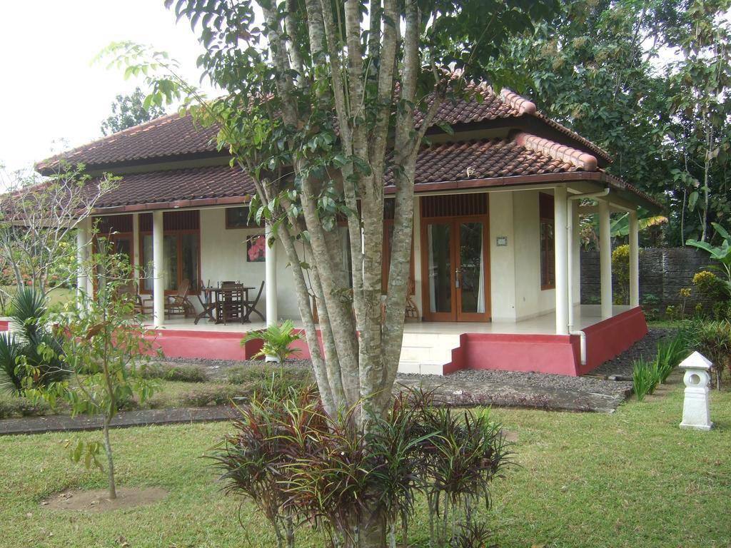 Guesthouse Rumah Senang Kalibaru Esterno foto
