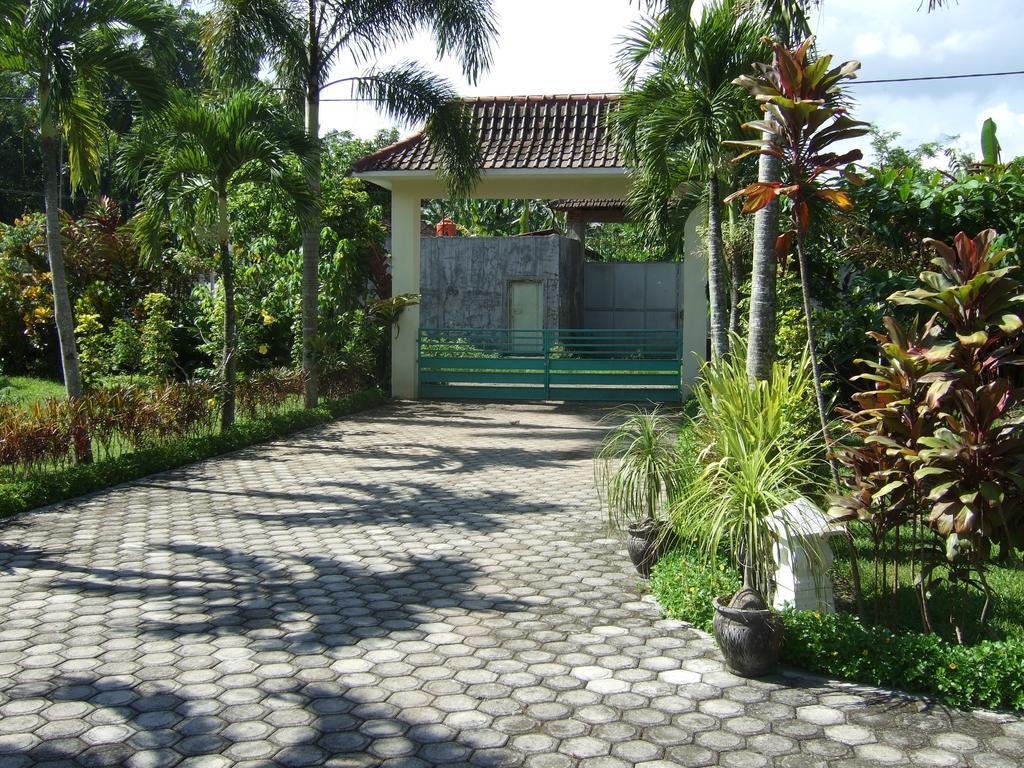 Guesthouse Rumah Senang Kalibaru Esterno foto